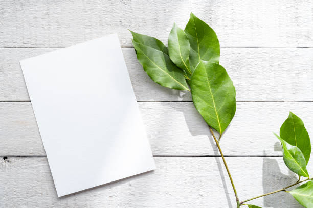 تصویر 4 از قیمت کاغذ A4 کپی مکس سوپر وایت 90 گرمی و خرید باور نکردنی